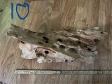 Bild: Rot (10)