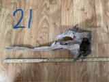 Bild: Rot (21)